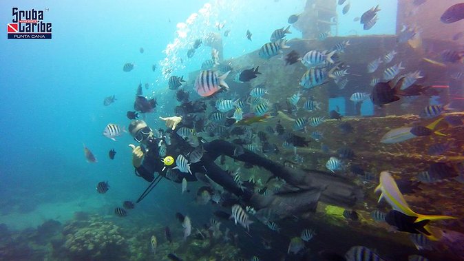 Tropical fish and marine life