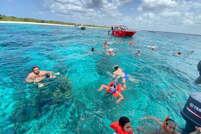 Tropical fish and marine life