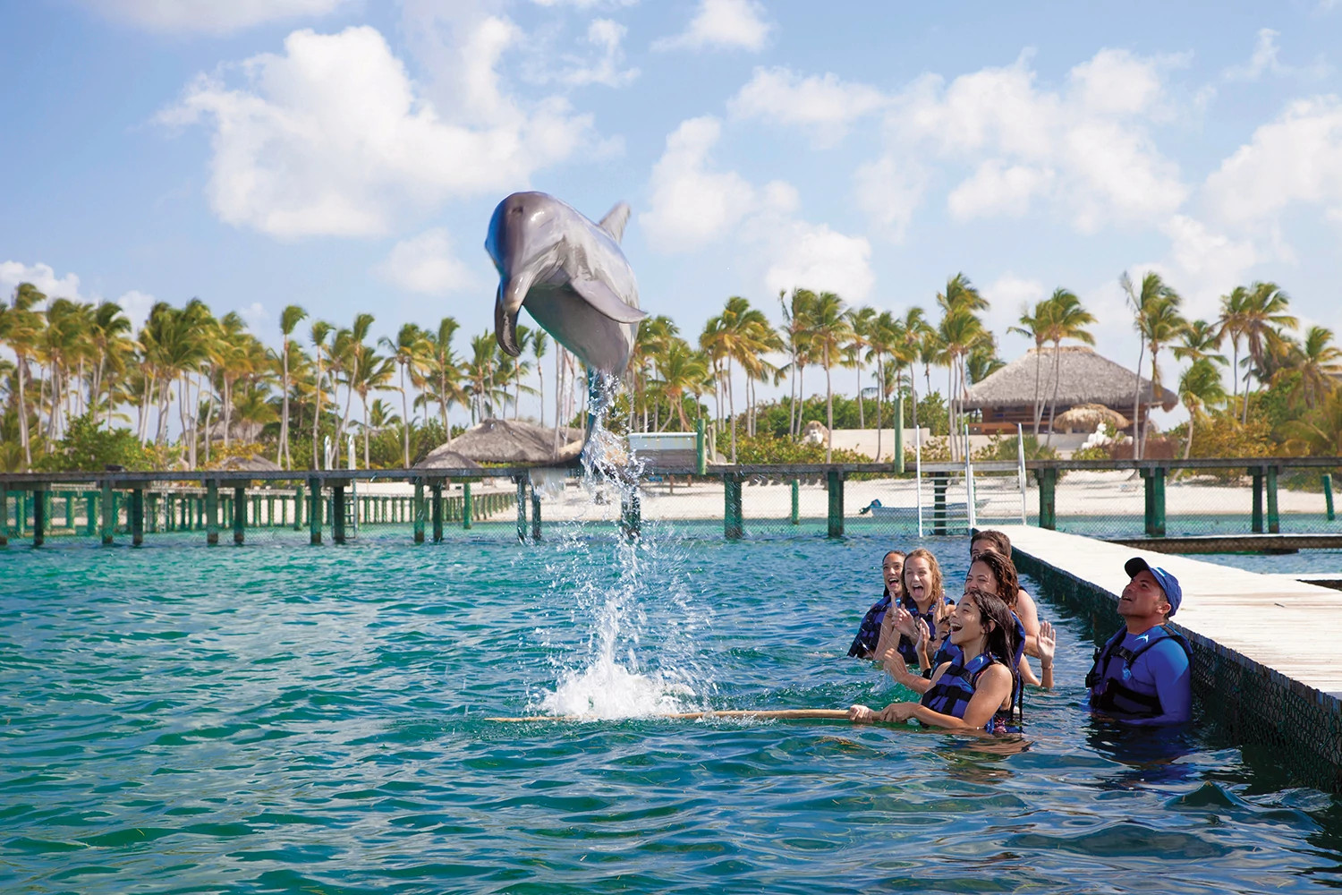 Interactive dolphin encounter in Punta Cana