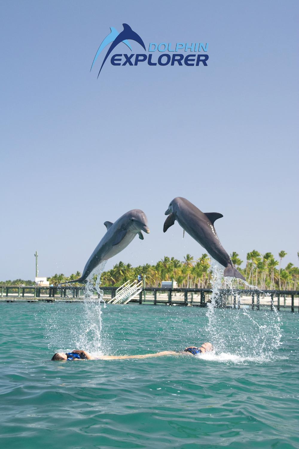Family enjoying Dolphin Explorer excursion