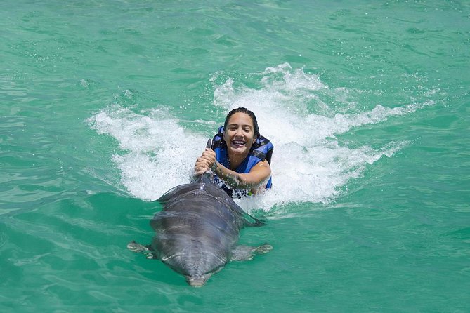 Interactive swim with dolphins in Punta Cana