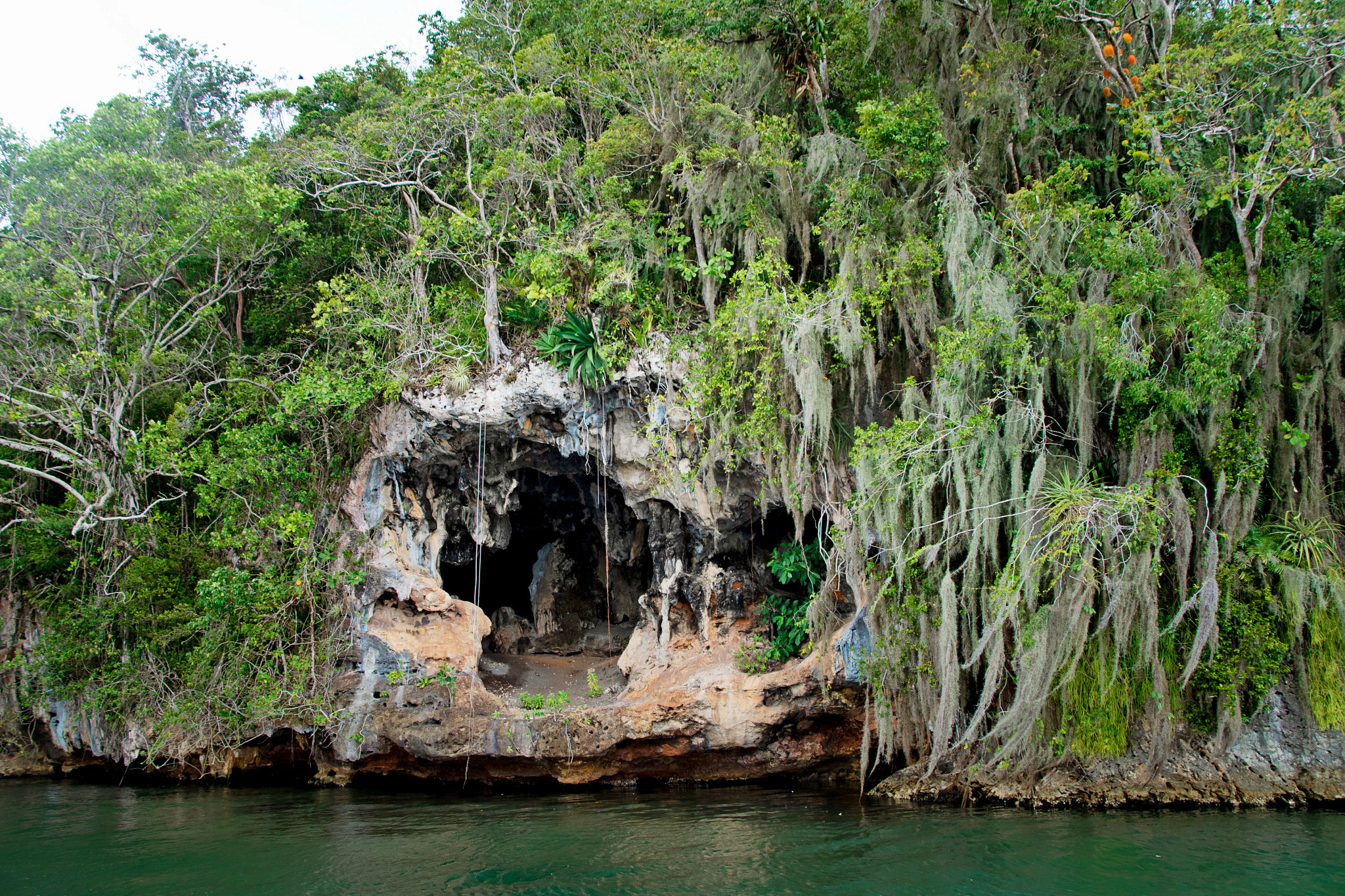 Boat tour through mangrove channels
