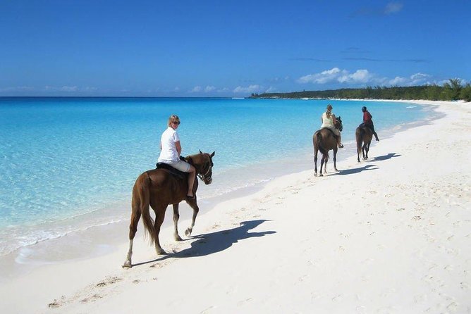 Horseback adventure in paradise